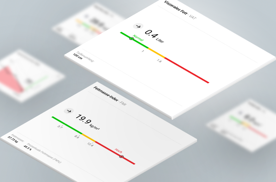[Translate to de_default:] Kacheln Fettparameter (Viszerales Fett & Fat Mass Index)