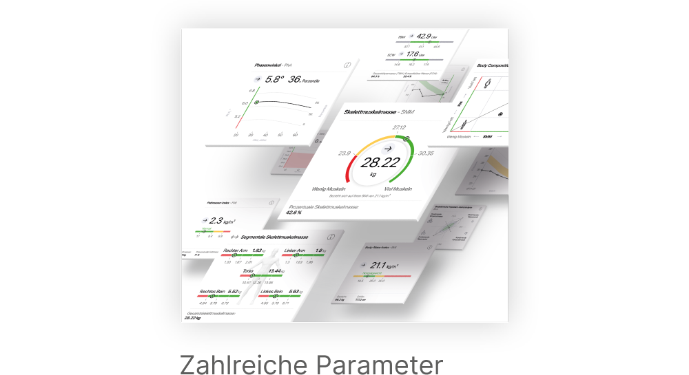 Software Screenshot Zahlreiche Parameter