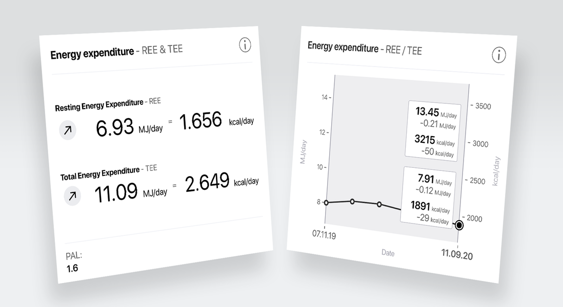 Resting energy expenditure (REE) based on body composition and the resulting total energy expenditure (TEE), calculated using the Physical Activity Level (PAL).