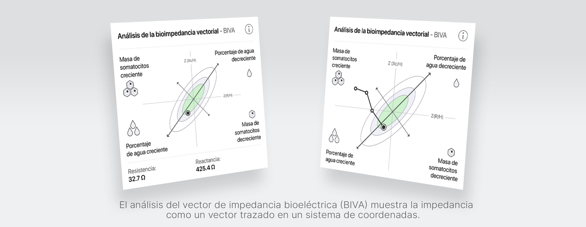 Bioelektrische Impedanz-Vektoranalyse