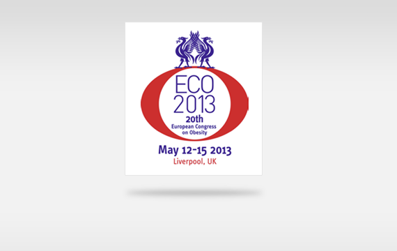 ECO 2013