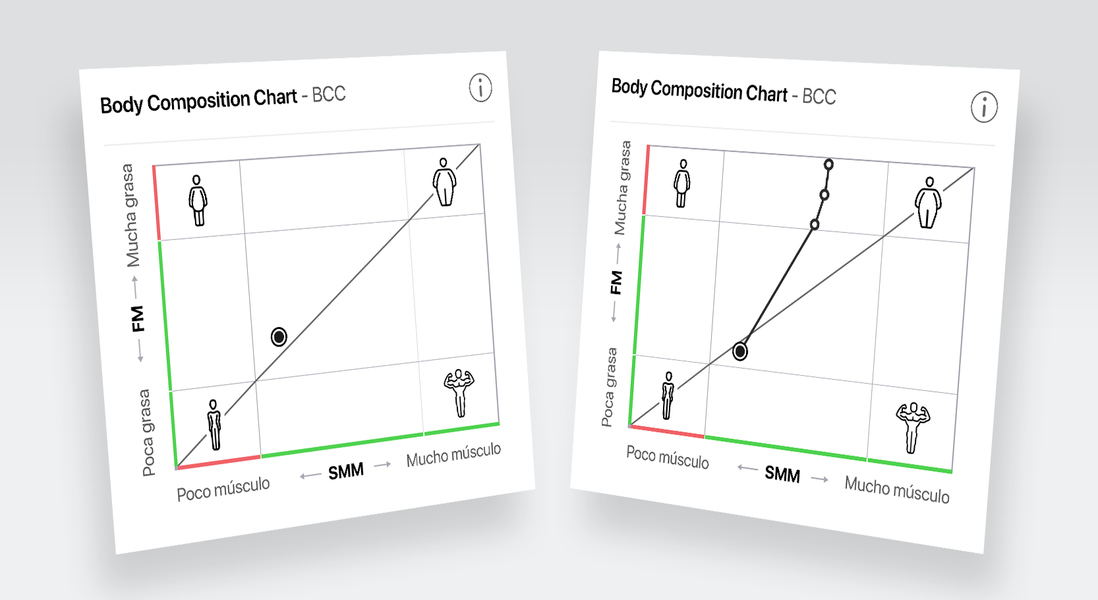 El gráfico de composición corporal muestra la masa muscular y la masa grasa en relación entre sí