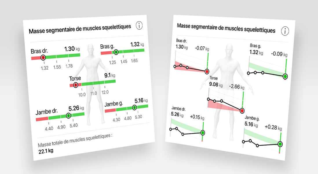 Masse musculaire squelettique segmentaire par jambe, bras et pour le torse.