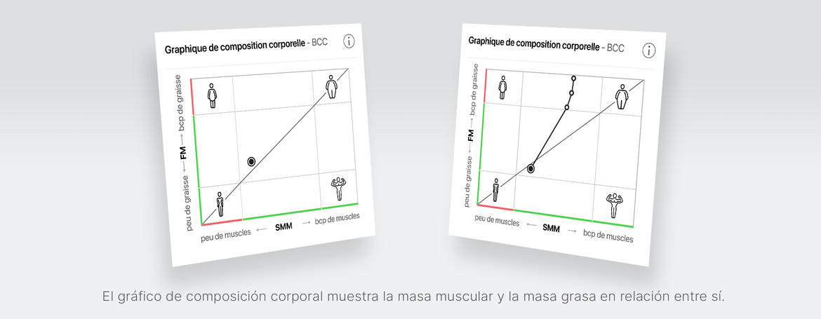 Body Composition Chart