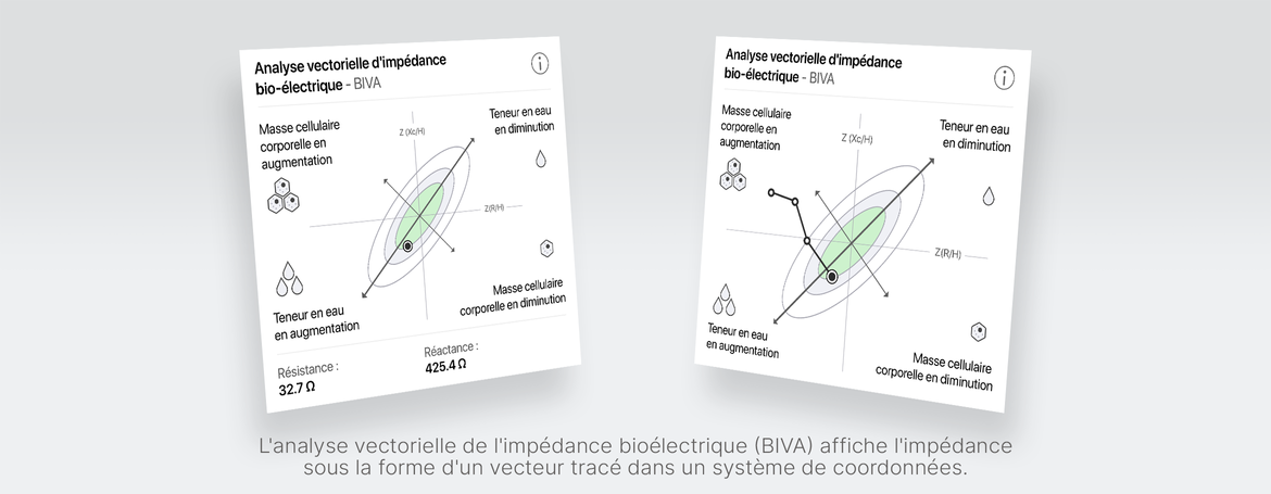 Bioelektrische Impedanz-Vektoranalyse