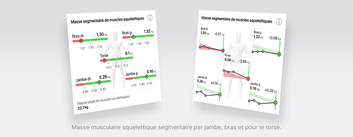 Segmentale Skelettmuskelmasse