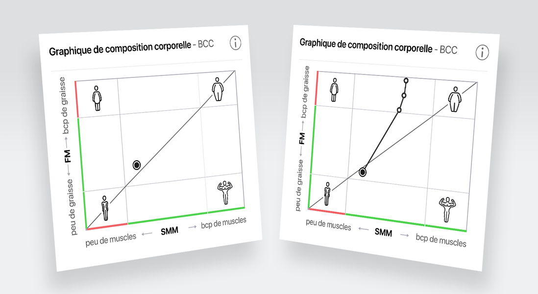 Le Body Composition Chart montre la masse musculaire et la masse grasse en relation l’une par rapport à l’autre.