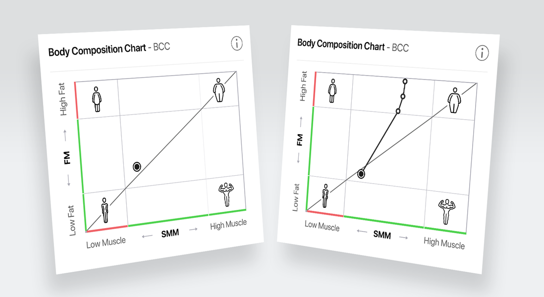 The Body Composition Chart displays muscle mass and fat mass in relation to each other.