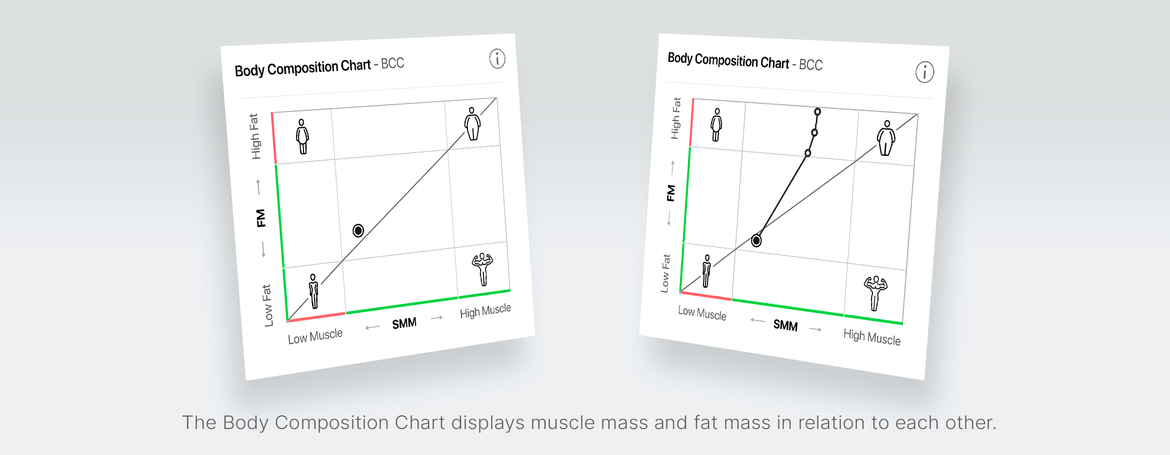 Body Composition Chart