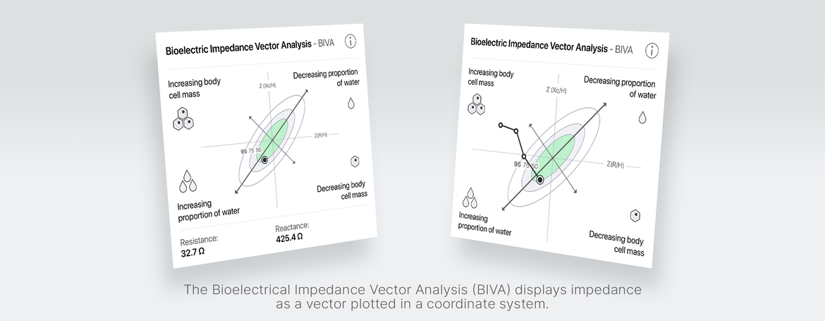 Bioelektrische Impedanz-Vektoranalyse