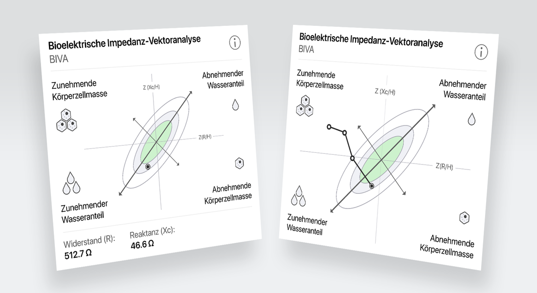 Die Bioelektrische Impedanz-Vektoranalyse (BIVA) zeigt die Impedanz als Vektor abgetragen in einem Koordinatensystem.