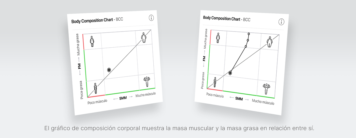Body Composition Chart