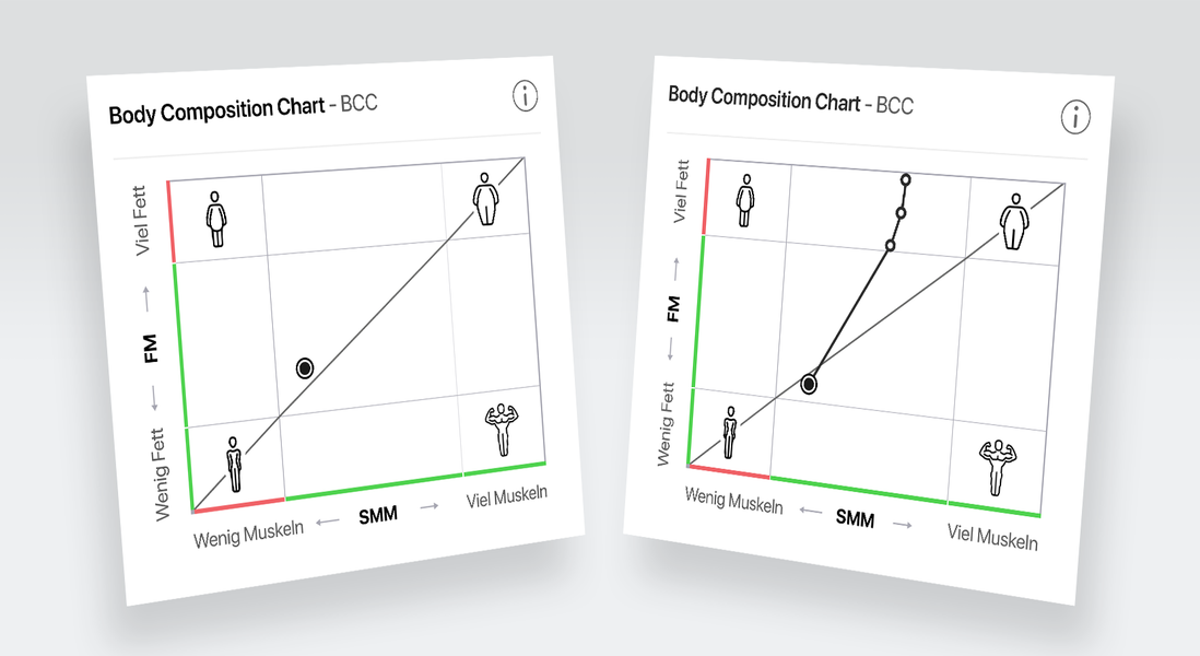 Das Body Composition Chart zeigt Muskelmasse und Fettmasse in Relation zueinander.