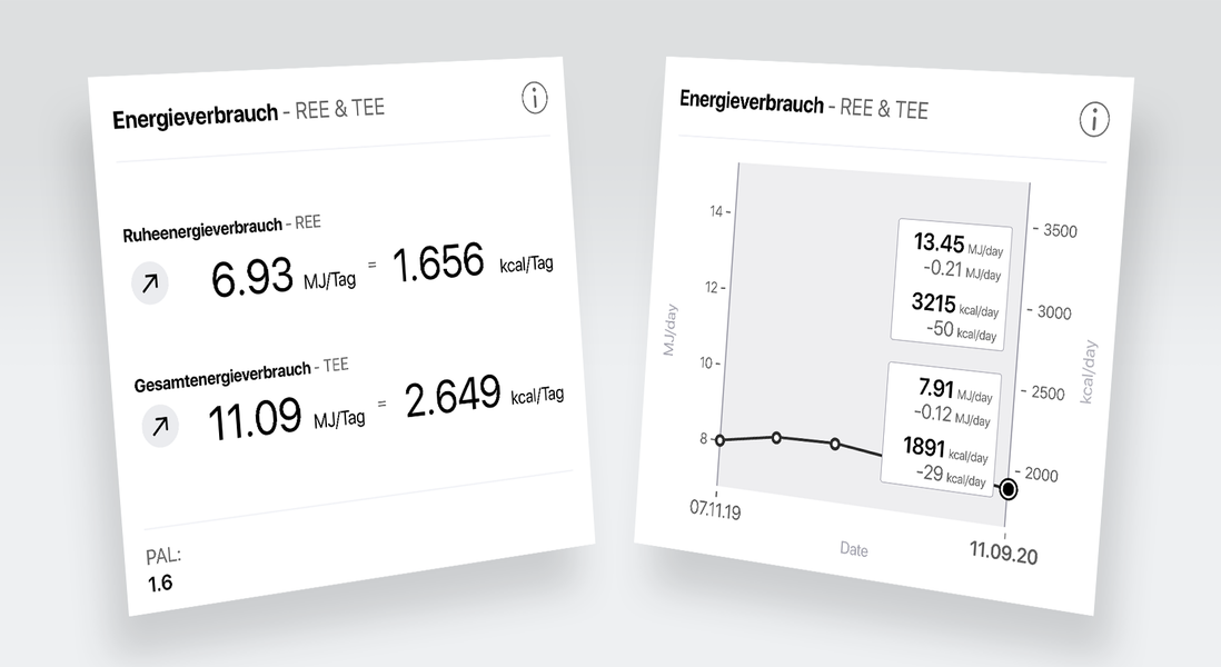 Der Ruheenergieverbrauch basierend auf der Körperzusammensetzung und daraus resultierende Gesamtenergieverbrauch berechnet mit dem Physical-Activity-Level (PAL).