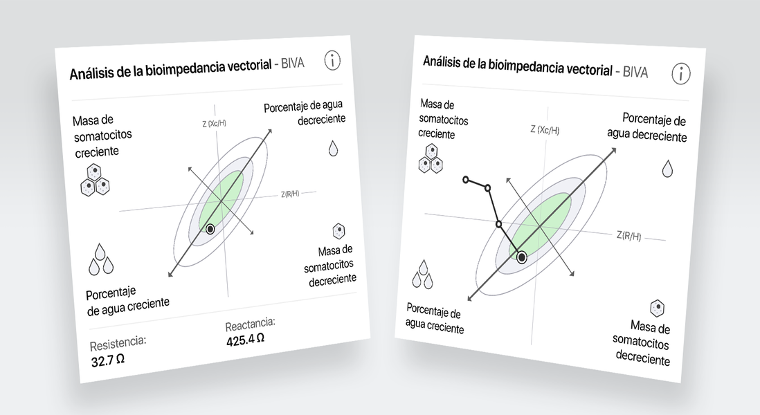 El análisis del vector de impedancia bioeléctrica (BIVA) muestra la impedancia como un vector trazado en un sistema de coordenadas