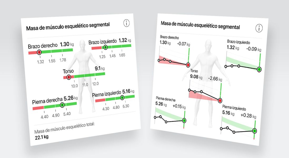 Masa muscular esquelética segmentaria de las piernas, los brazos y el torso