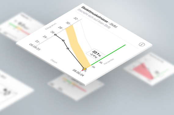 [Translate to de_default:] Darstellung zur Verlaufsmessung in der seca myAnalytics