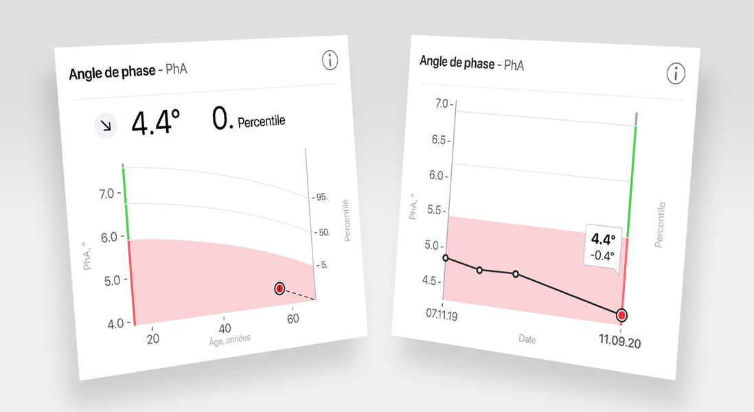 L’angle de phase donne des indications sur la quantité et la qualité des cellules métaboliquement actives.
