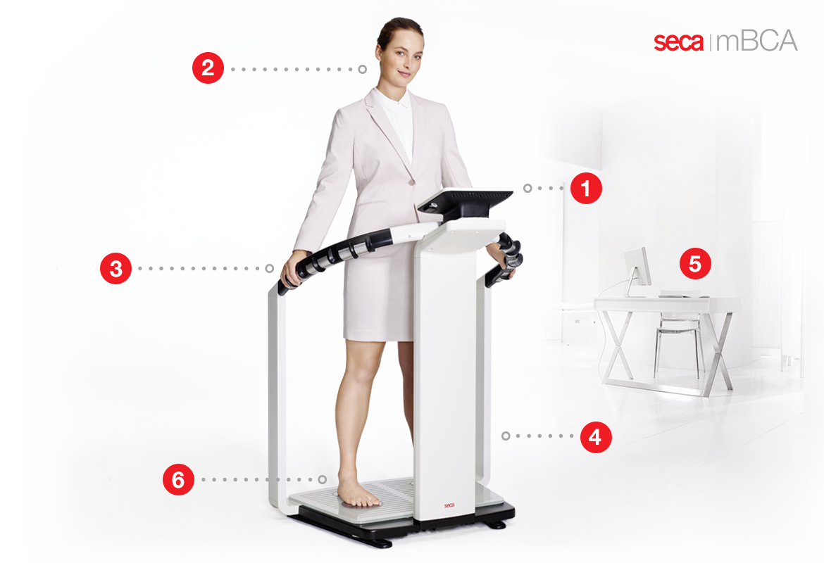 Seca 514 Medical Body Composition Analyzer for Determining Body Compos