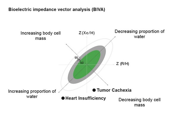 Comparison of Bioelectrical Impedance Vector Analysis (BIVA) to 7