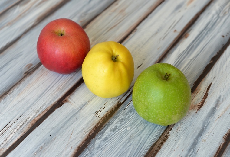 The traffic light rating of food a remedy for obesity? · seca