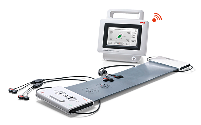 Body composition analyzer with bioelectrical impedance analysis - KoSIGNAL  BASIC - K-DOD - automatic