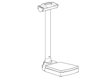 Seca 703 EMR Ready Column Scale – WEIGH AND MEASURE, LLC